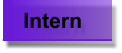 Intern